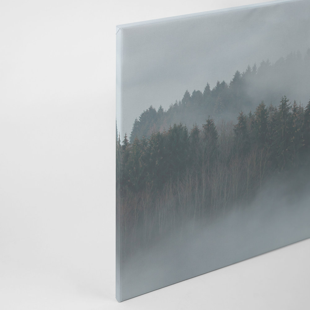             Canvas met mysterieus bos in de mist - 0.90 m x 0.60 m
        
