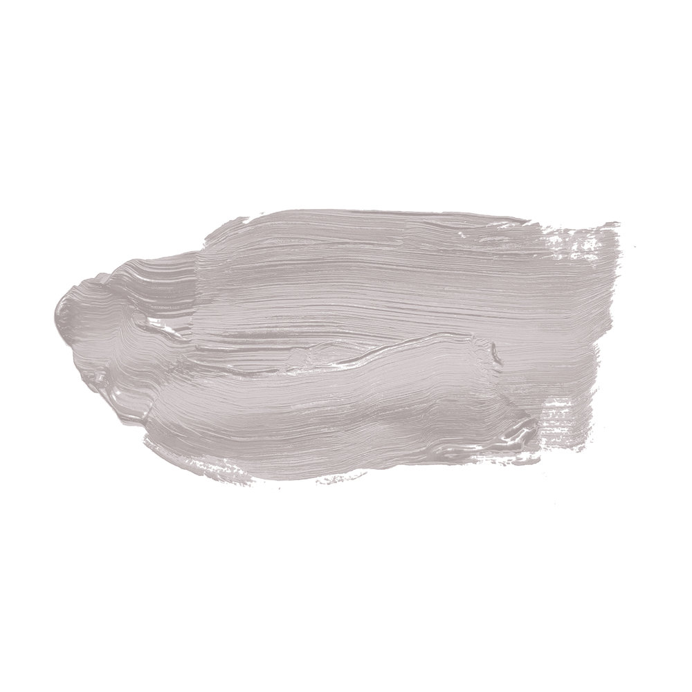             Pittura murale TCK2000 »Calm Clam« in grigio casalingo – 2,5 litri
        