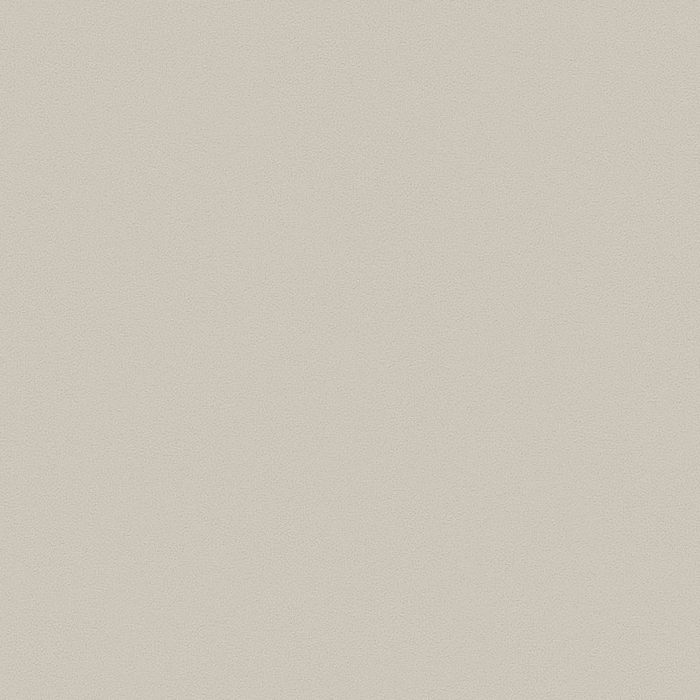             Matt plain wallpaper with surface texture - beige, grey
        