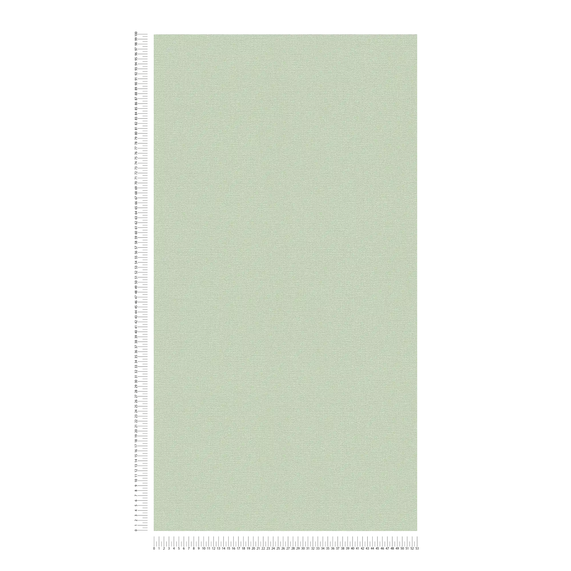             Carta da parati in stile naturale, tinta unita con motivo a trama - verde, bianco
        