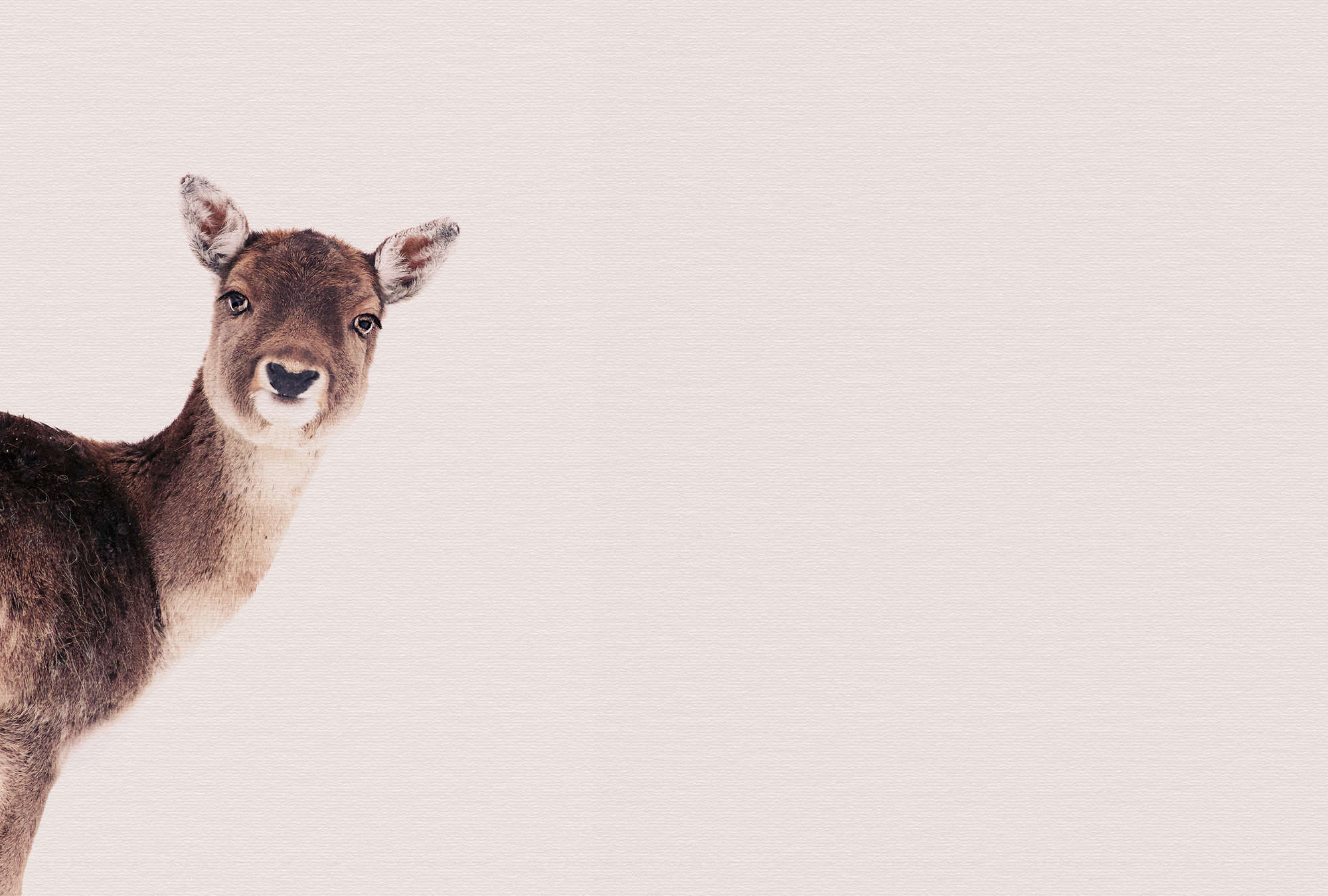             Forest animal mural deer in sepia portrait look
        