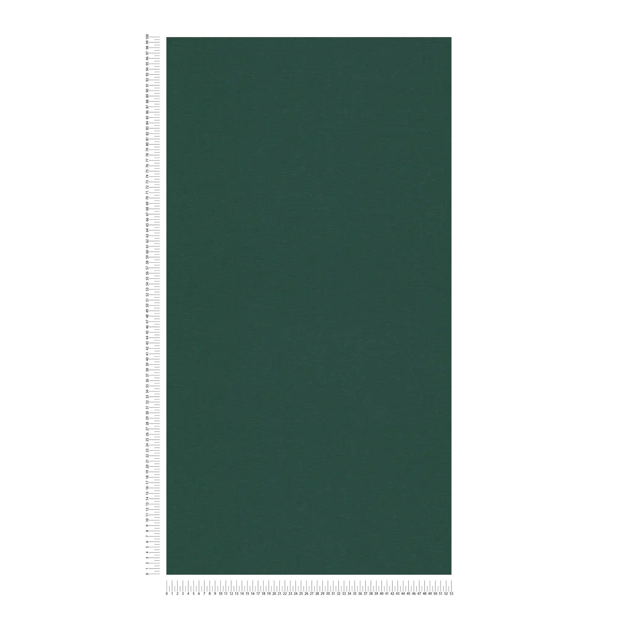            Carta da parati unitaria con texture tessile opaca - verde, verde scuro
        