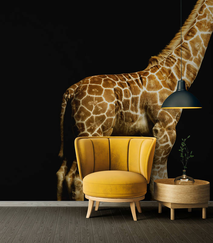             Corps de girafe - papier peint avec portrait d'animal
        