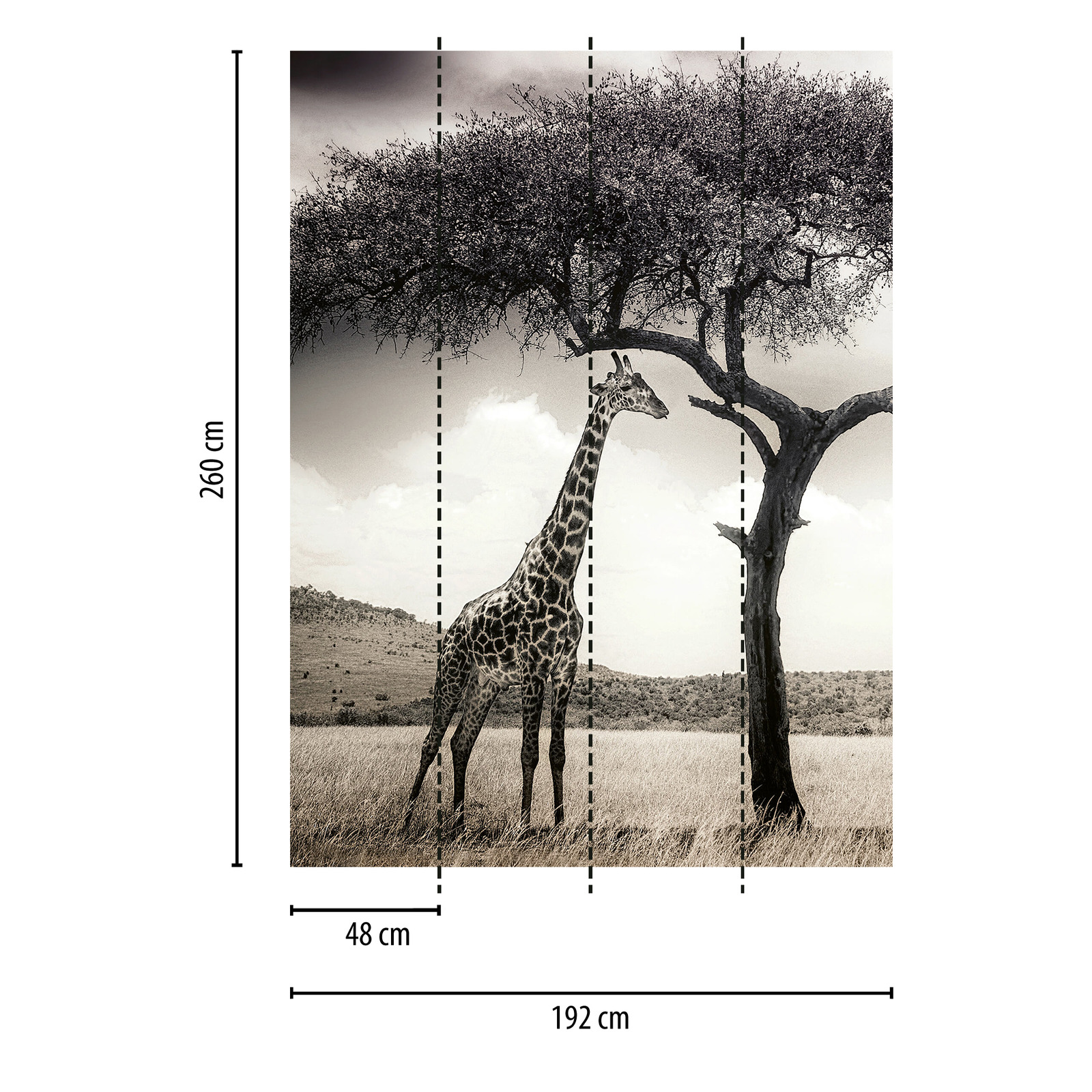             Carta da parati Giraffe in Savana - Grigio, bianco, nero
        