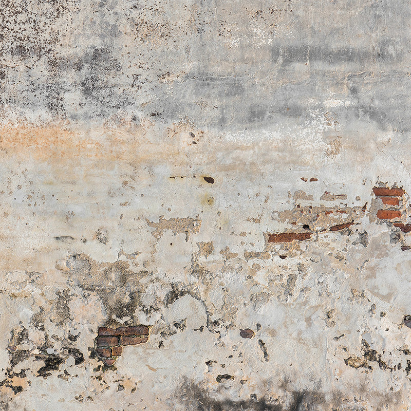         Photo wallpaper old & plastered brick wall - grey, brown
    