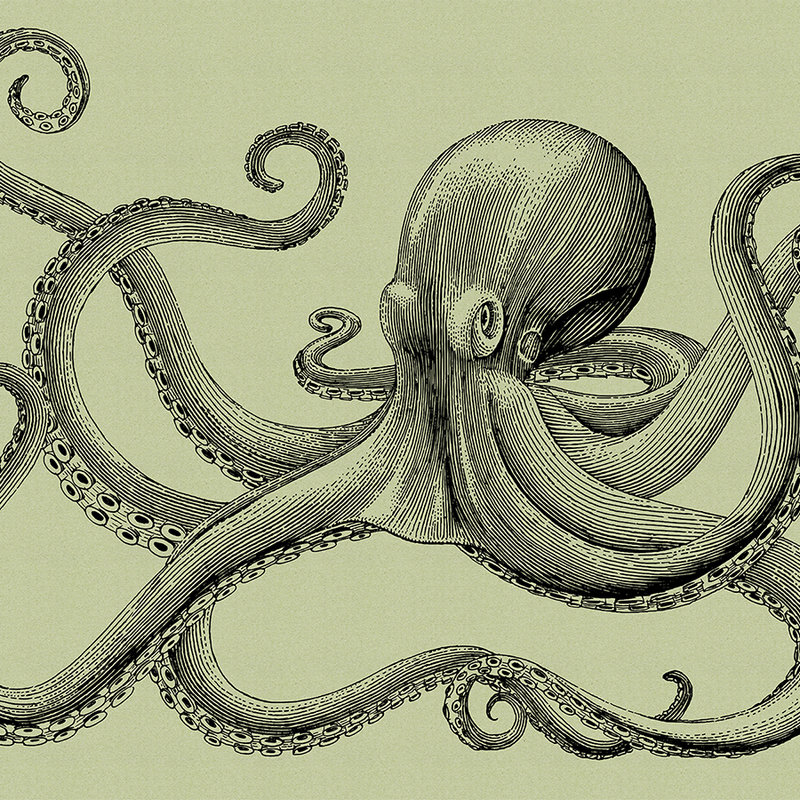 Jules 3 - Carta da parati Octopus in stile schizzo e look vintage - struttura in cartone - verde, nero | vello liscio madreperlato
