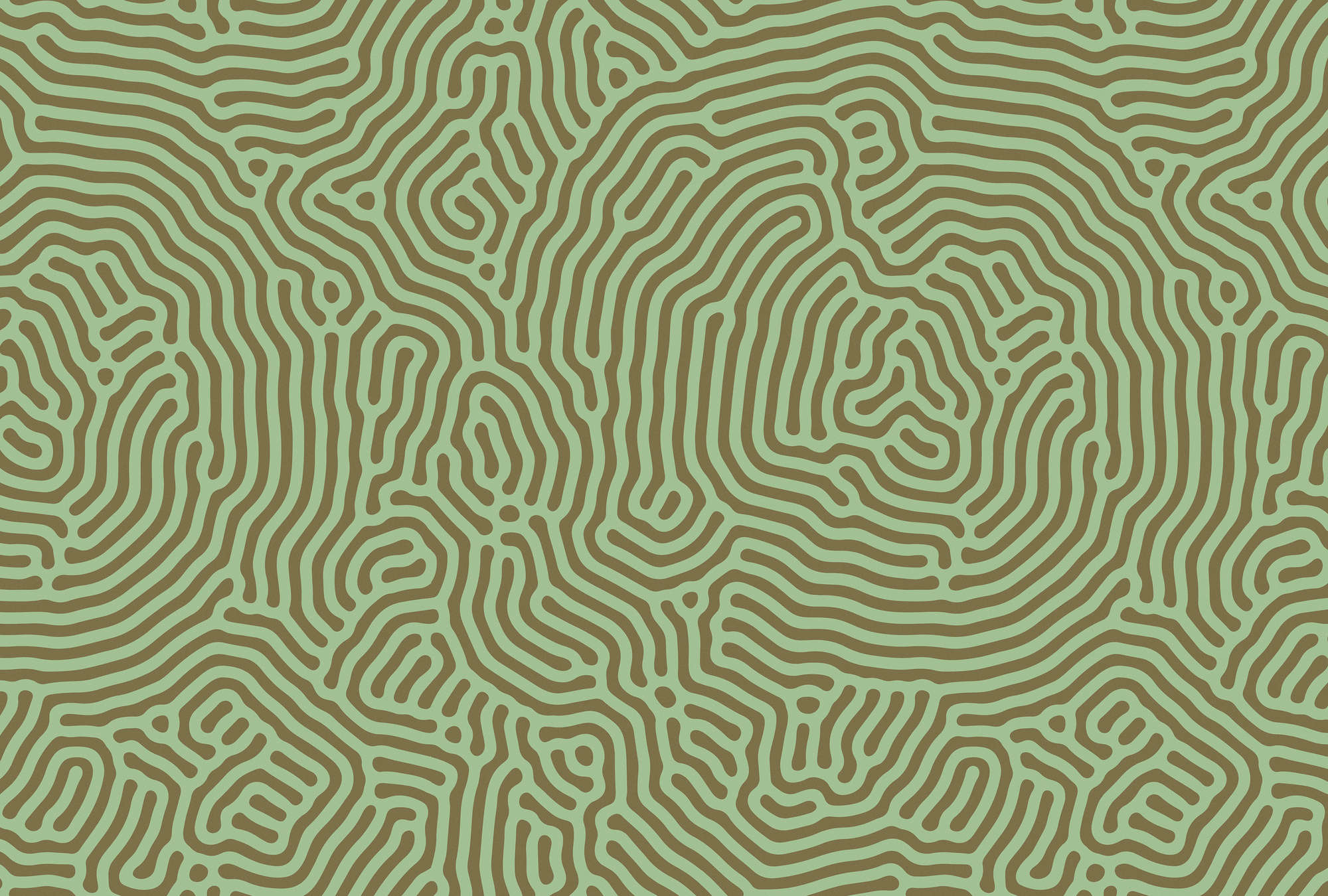             Sahel 1 - green wall mural labyrinth pattern sage green
        