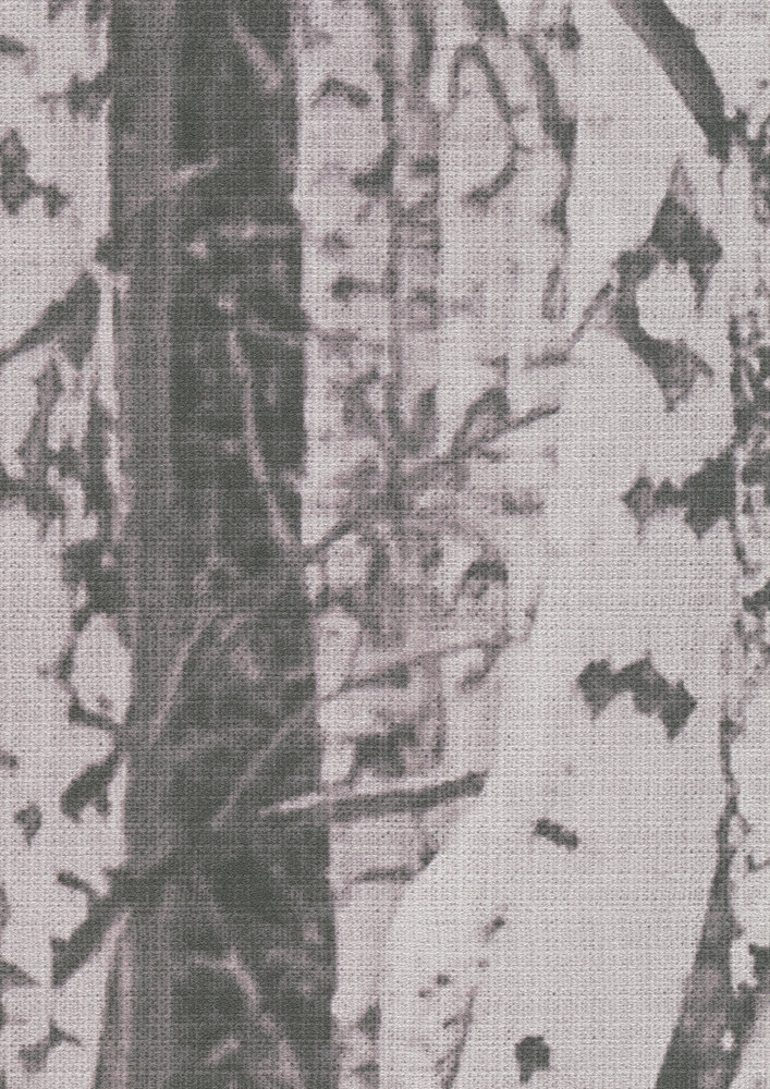             behang nieuwigheid | motief behang berkenbos in de sneeuw, zwart en wit
        