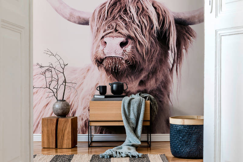             Highland cattle portrait mural in sepia style
        