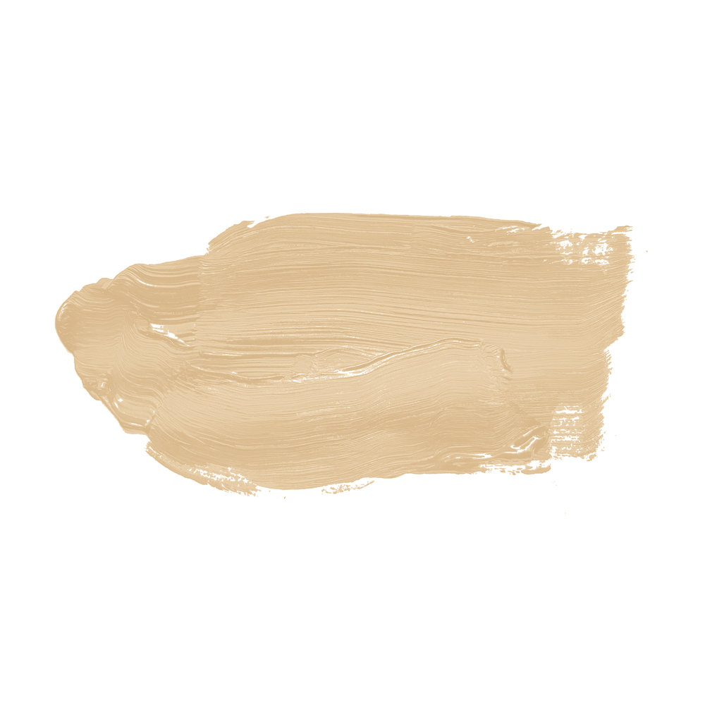             Pintura mural TCK6003 »Asthetic Artichoke« en beige hogareño – 2,5 litro
        