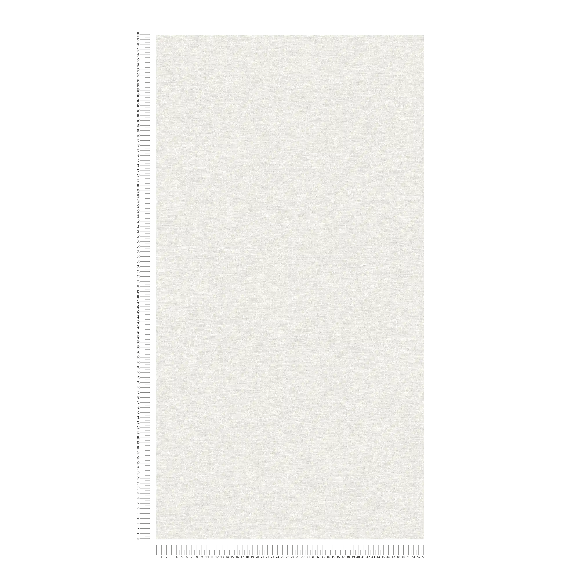             Carta da parati a tinta unita di colore bianco scuro con sottile motivo strutturato
        