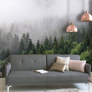 Young living room with photo wallpaper forest in fog DD118602