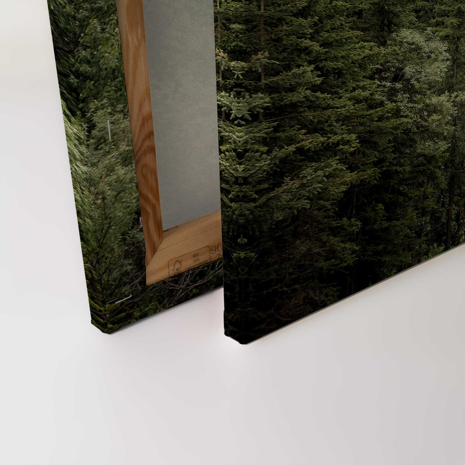             Quadro su tela con binari del treno attraverso una foresta in mezzo alle montagne - 0,90 m x 0,60 m
        