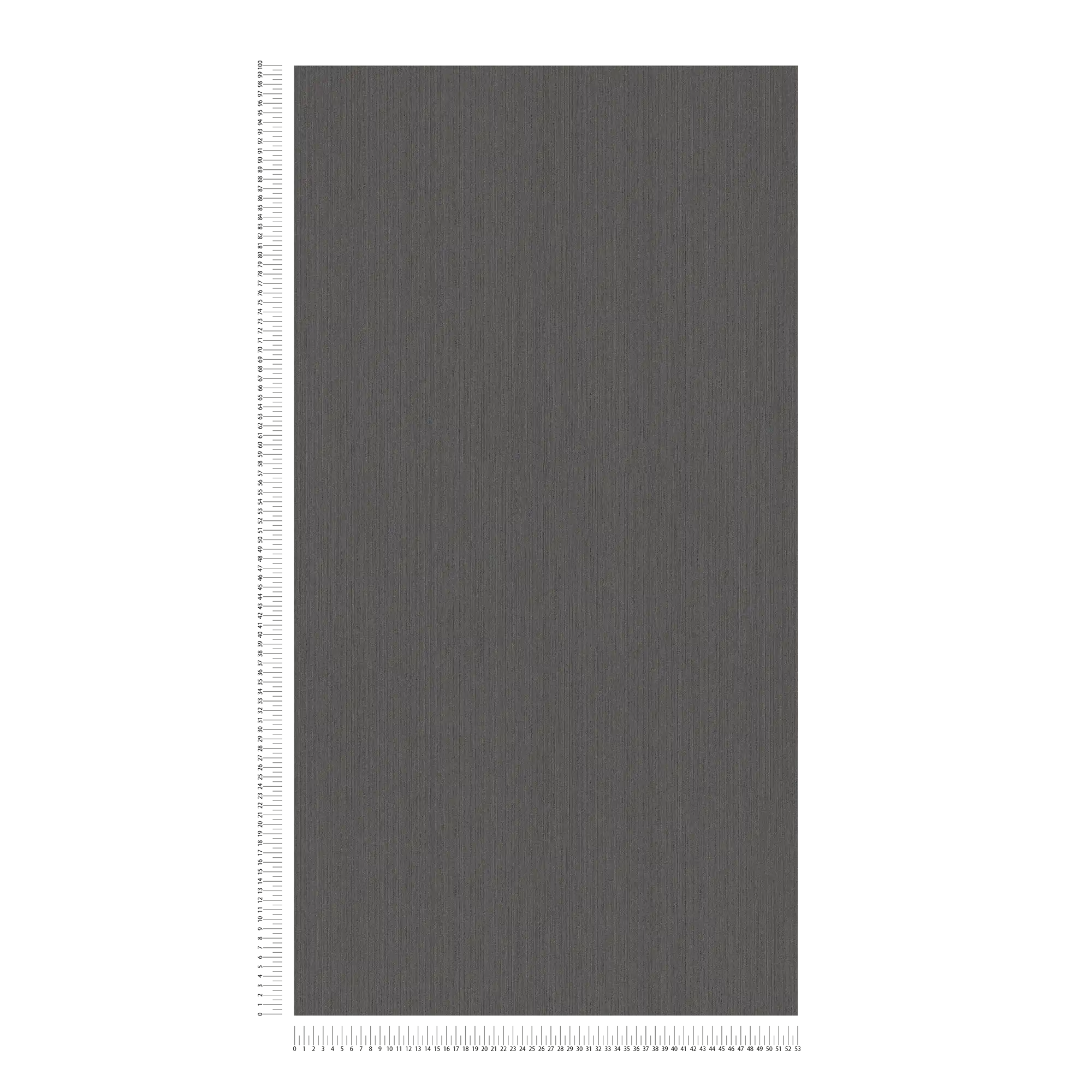             Papier peint gris graphite avec effet structuré & finition satinée
        