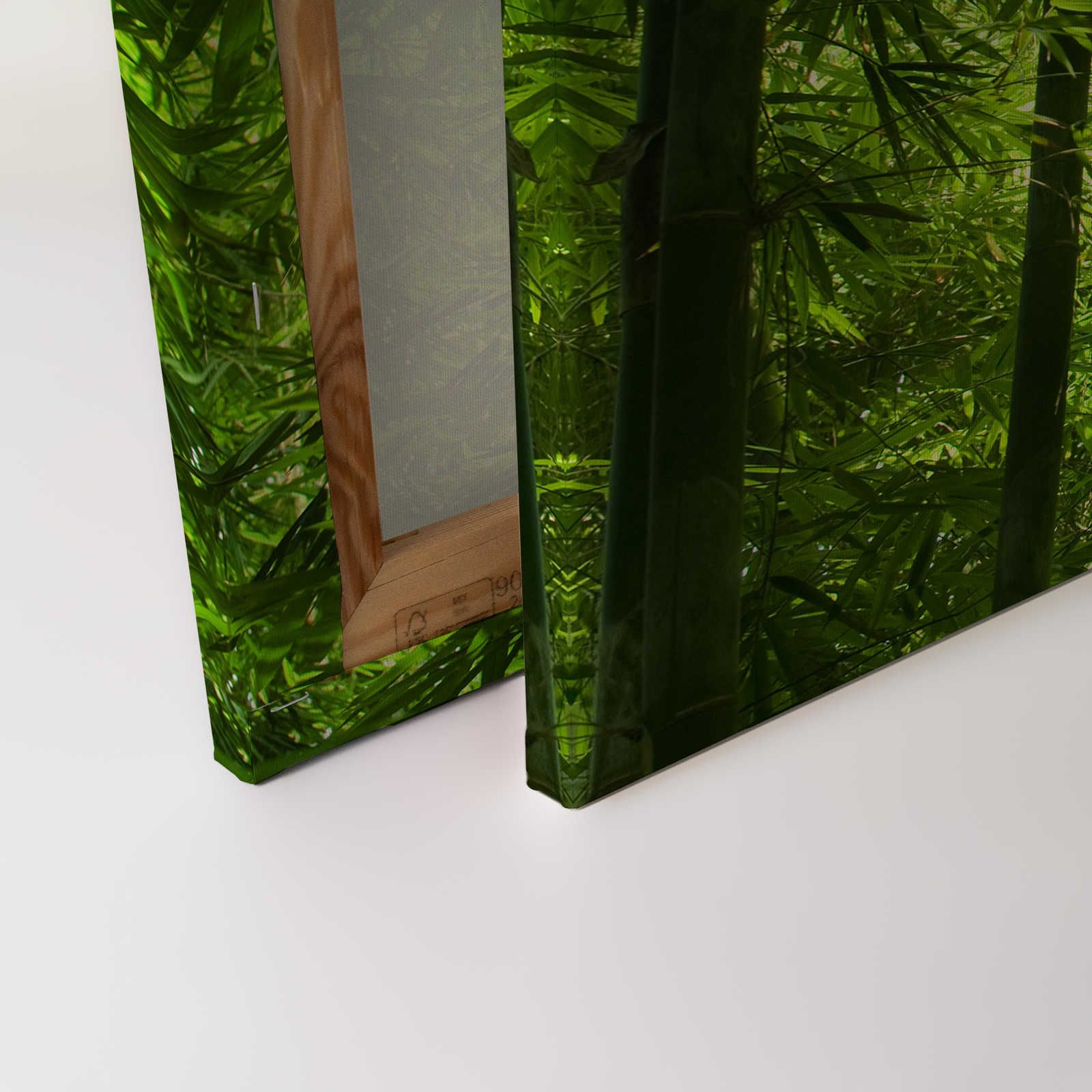             Quadro su tela Bambù e foglie - 0,90 m x 0,60 m
        