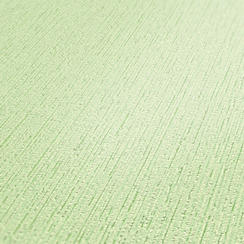             Papier peint vert clair aspect plâtre & surface structurée - Vert
        