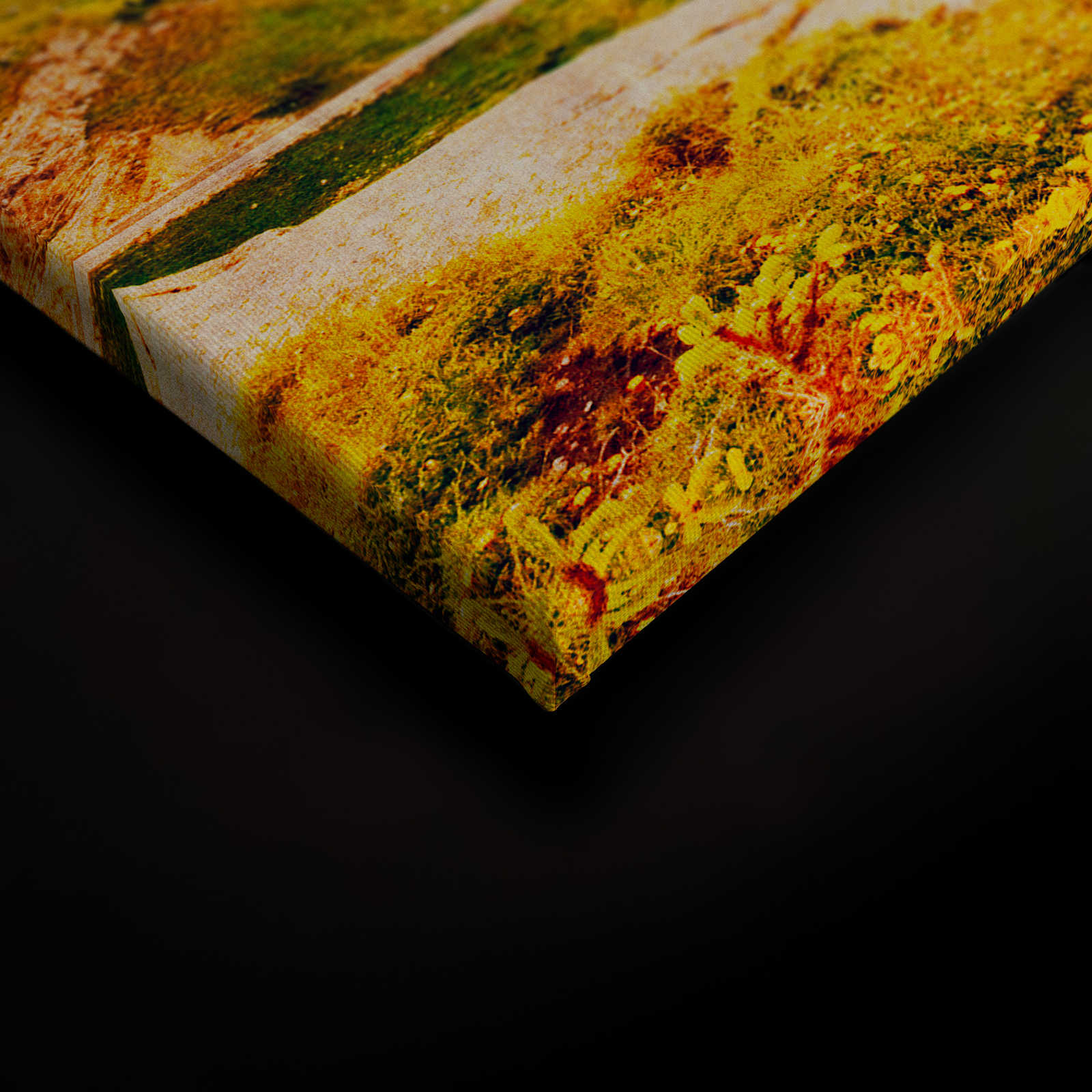             Dolomiti 1 - Canvas painting Dolomites Retro Photography - Blotting paper - 0.90 m x 0.60 m
        