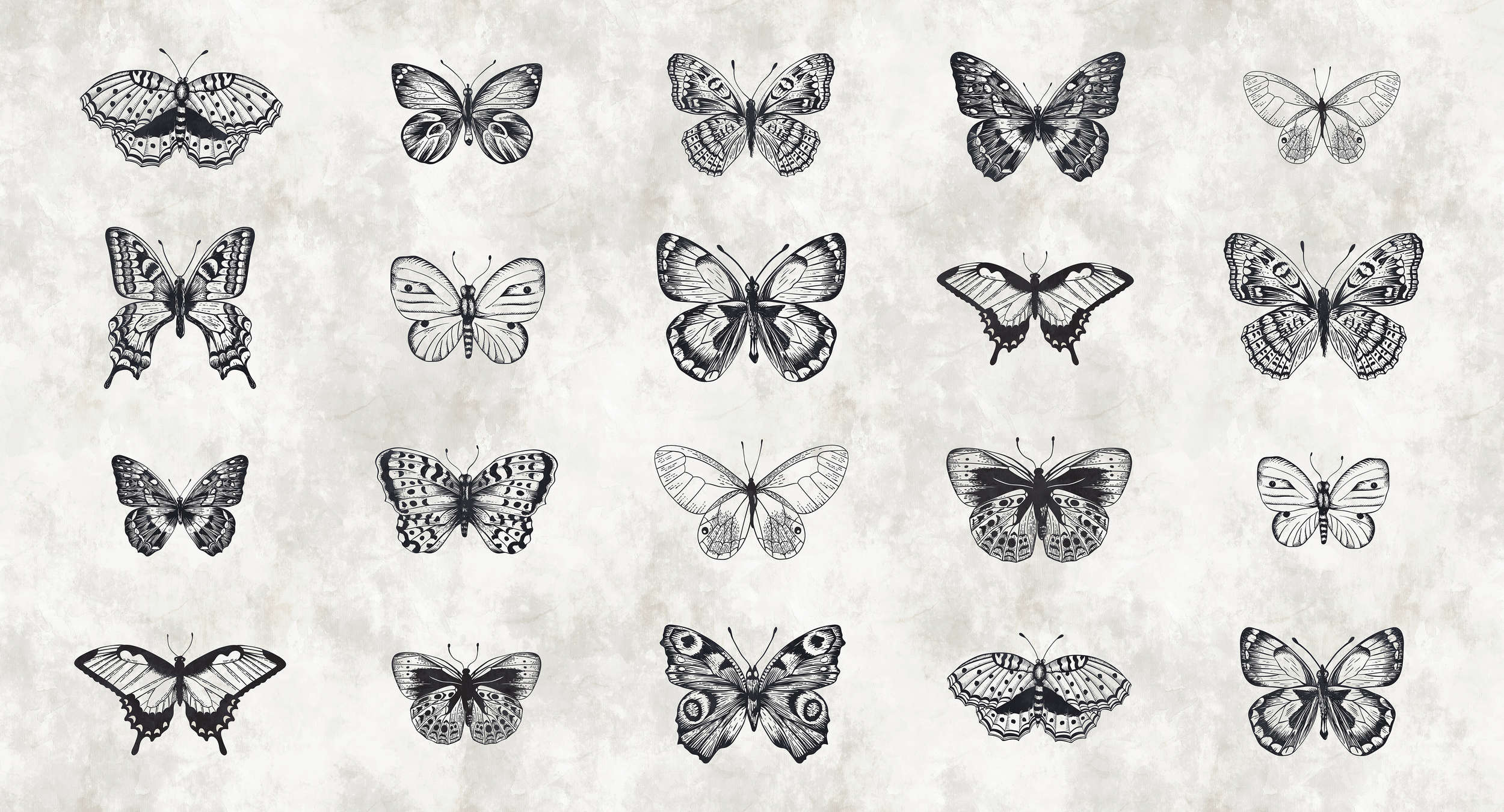             Butterfly mural black and white drawings
        