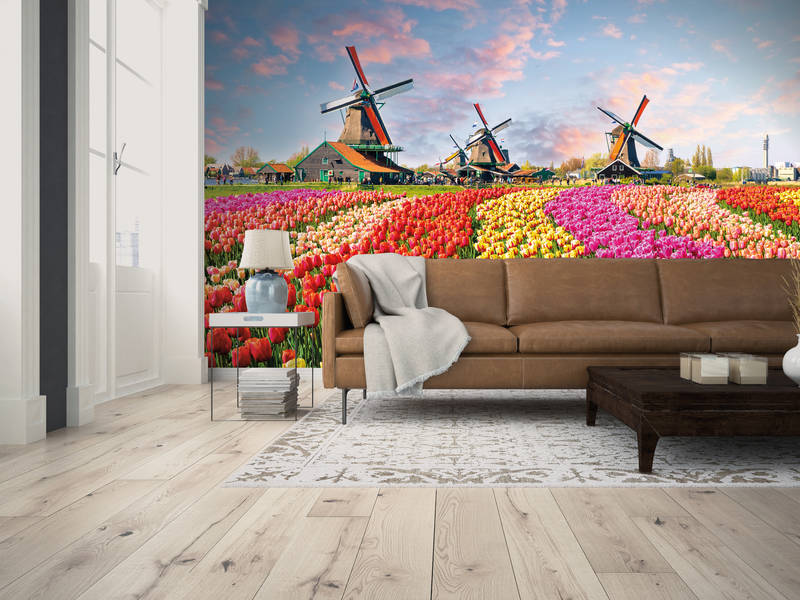             Holland Tulips & Pinwheel Wallpaper - Colourful, Brown, Pink
        