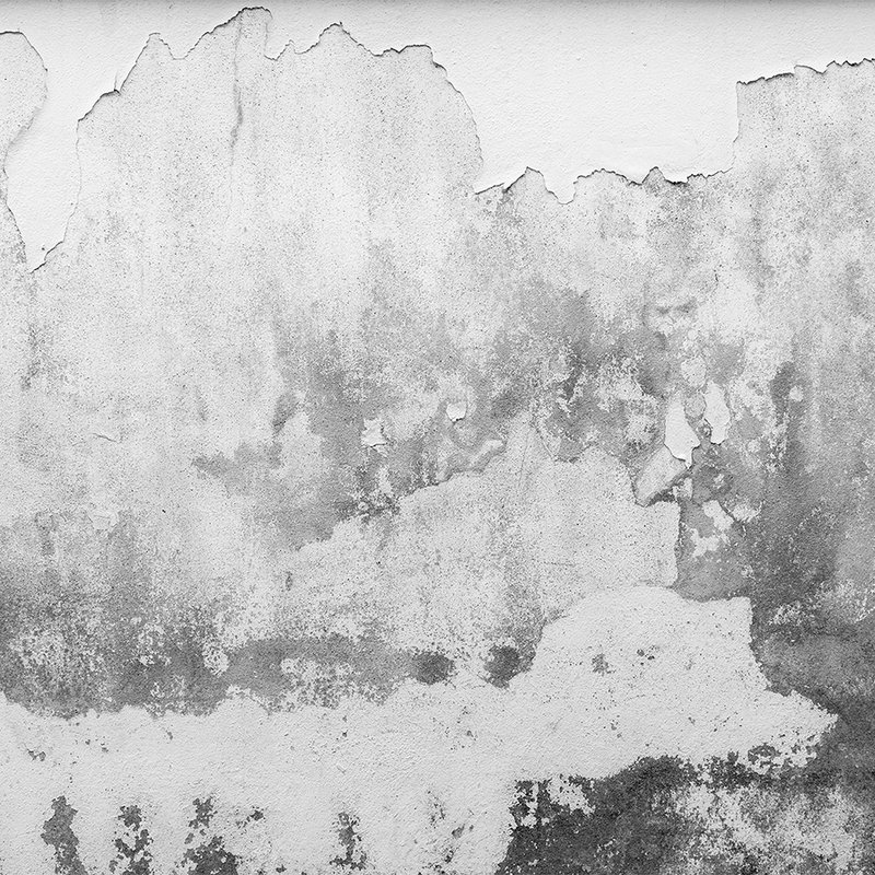 Mur de pierre used-look de style industriel - blanc, gris

