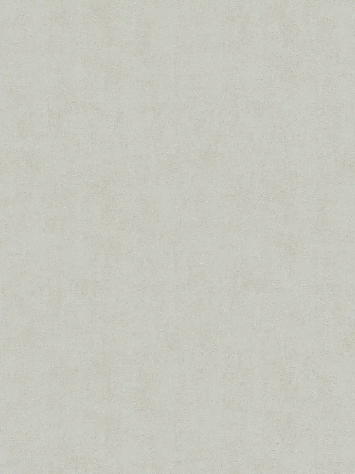 Plain non-woven wallpaper plains with discreet structure - beige
