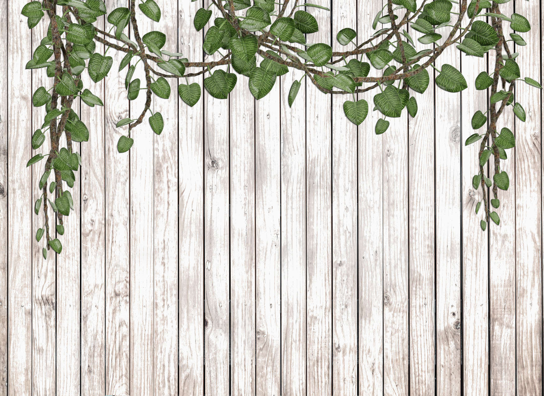             Papier peint mur en bois avec feuilles tombantes nature - vert, beige
        