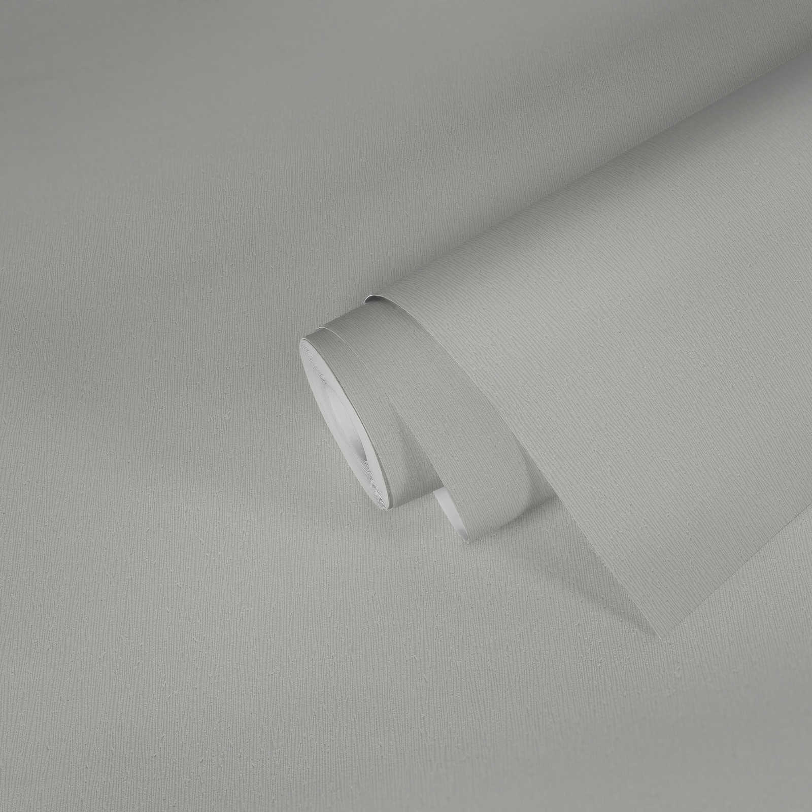             Carta da parati in tessuto non tessuto grigio chiaro con struttura monocromatica - Grigio
        