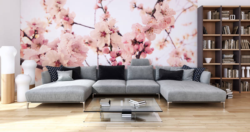             Papel pintado fotográfico de plantas en flor de cerezo sobre vellón texturizado
        