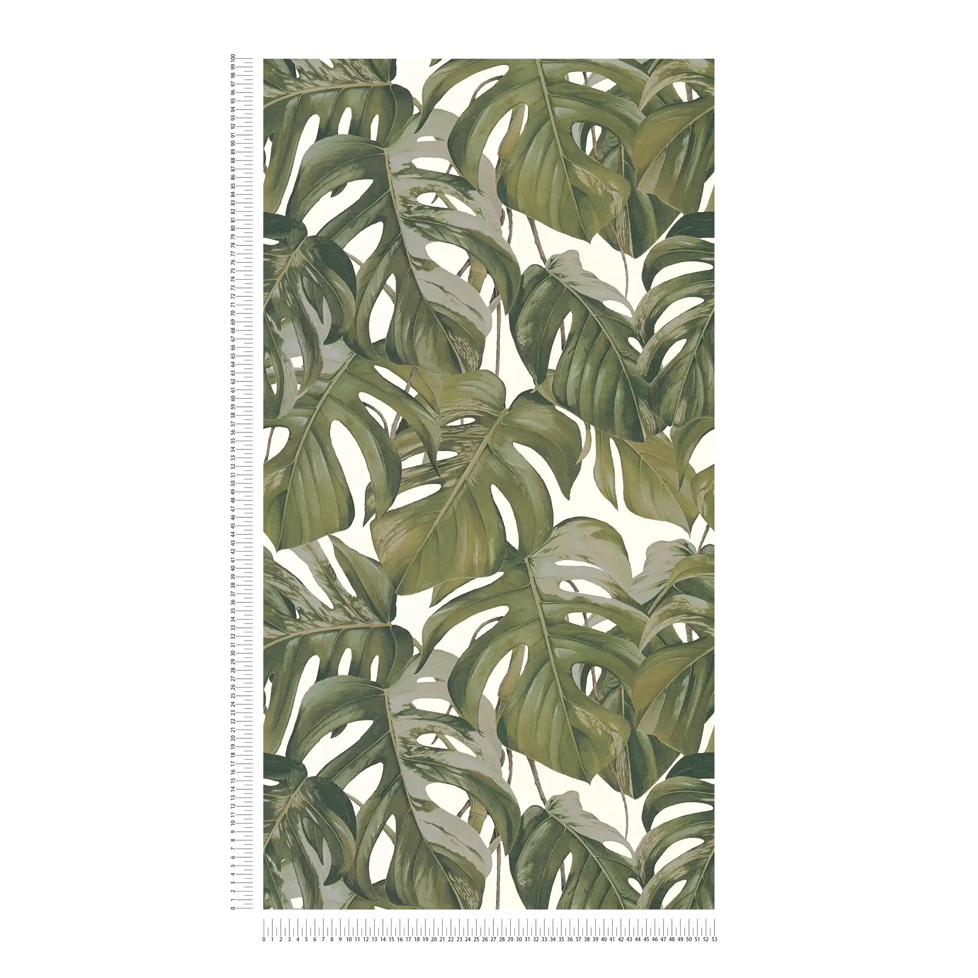             Papier peint intissé Monstera motif feuilles - gris, vert, blanc
        