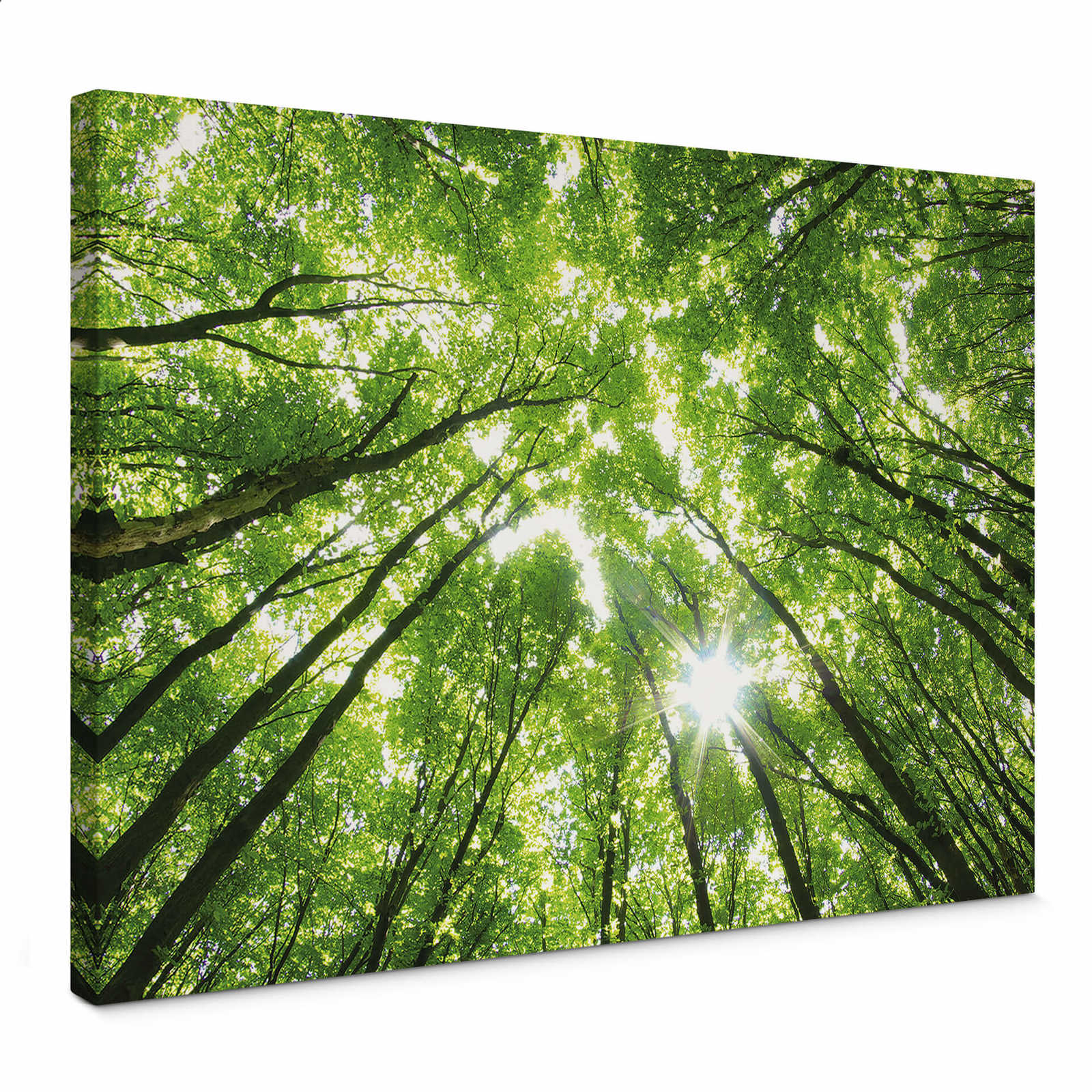 Canvas print leaves in a deciduous forest – green
