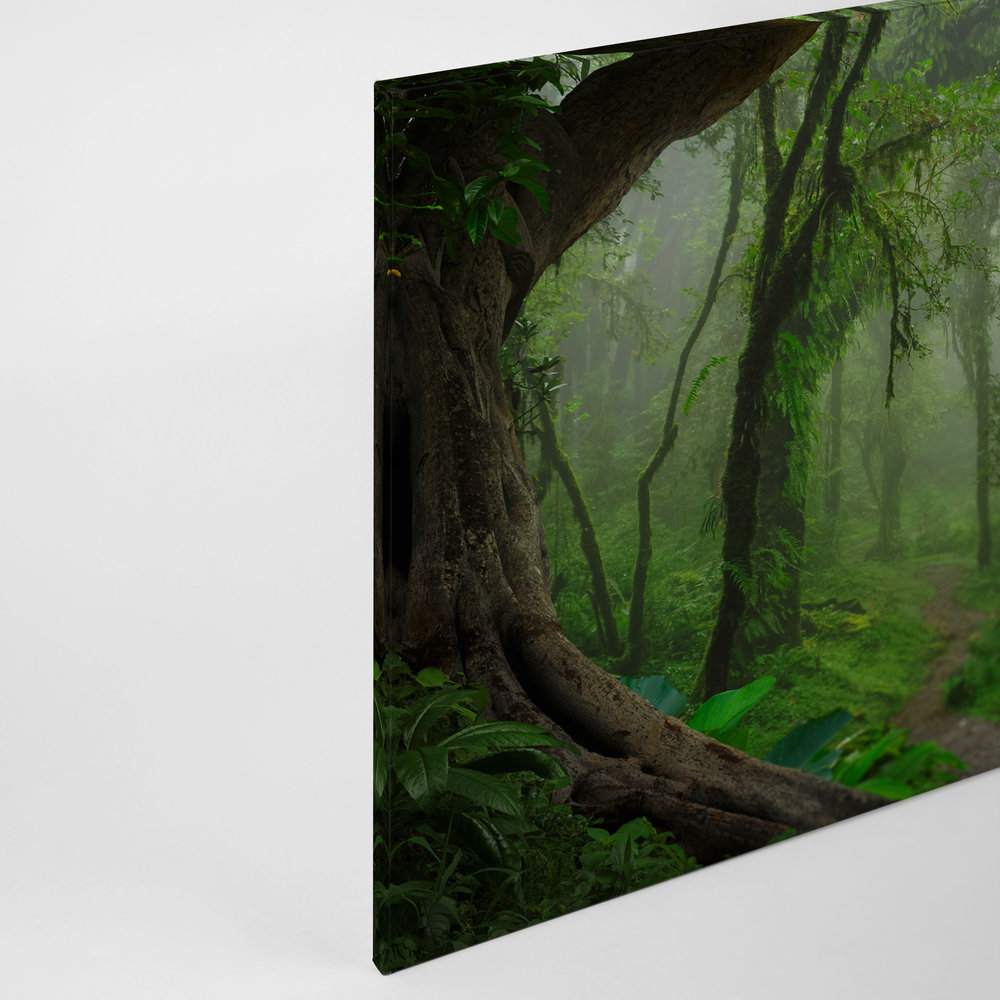             Magisch Tropisch Woud Canvas - 0,90 m x 0,60 m
        