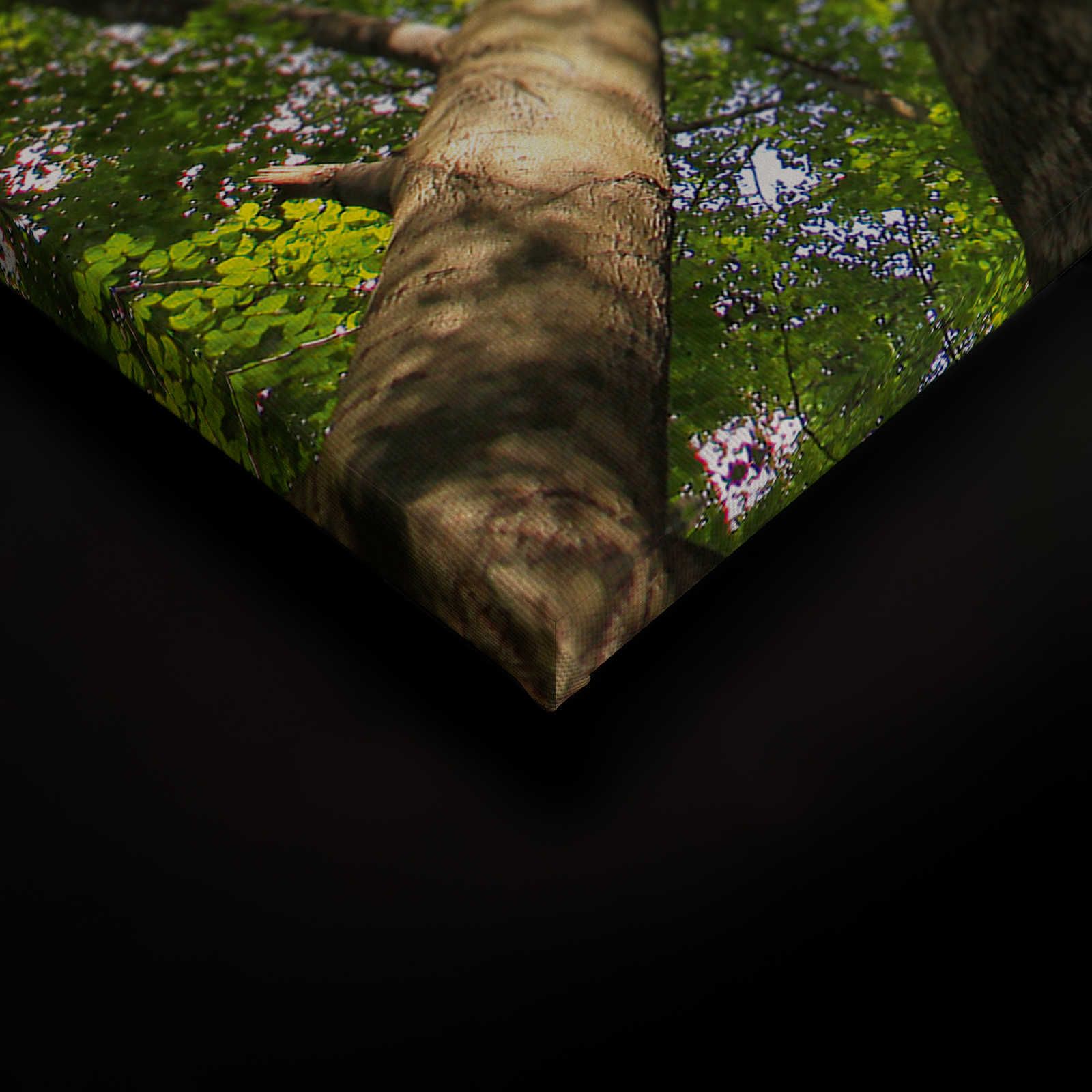             Cuadro lienzo follaje con copas de árboles de bosque caducifolio - 0,90 m x 0,60 m
        
