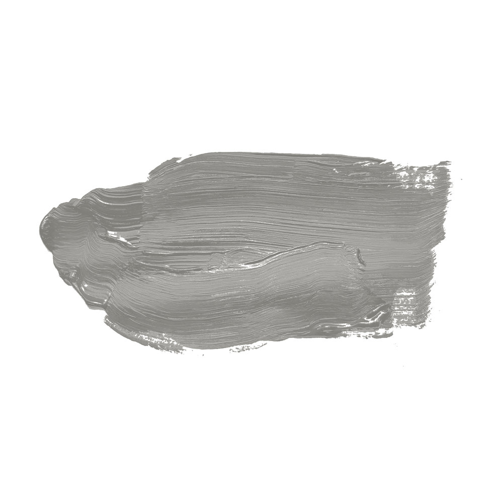             Wall Paint TCK1010 »Grey Salt« in neutral grey – 5.0 litre
        