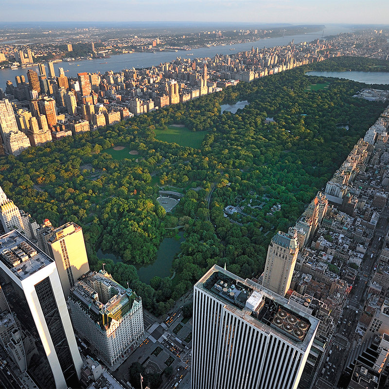 Photo wallpaper New York Central Park from above - pearlescent smooth fleece
