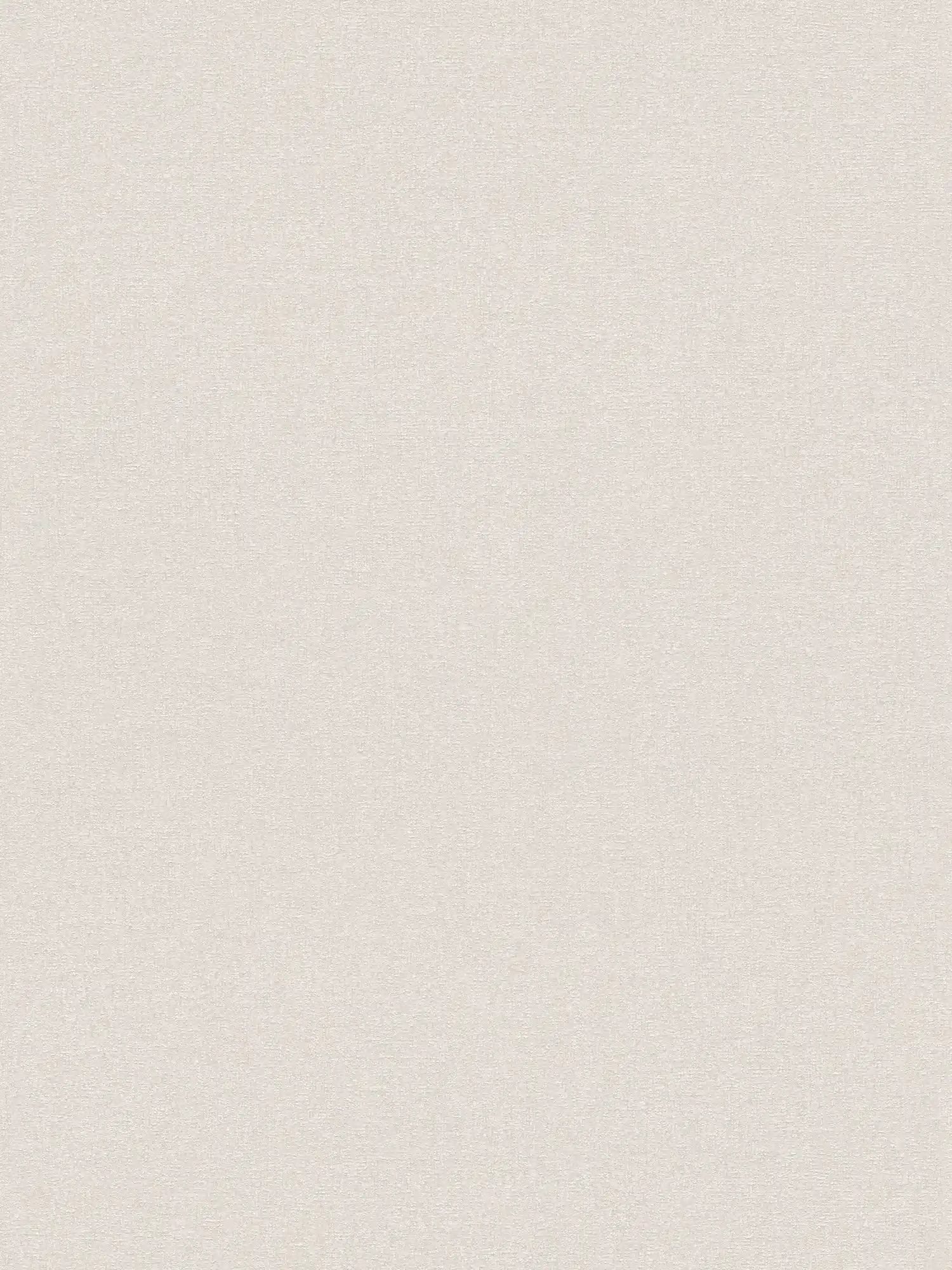 Non-woven wallpaper with fine structure - cream, white, grey
