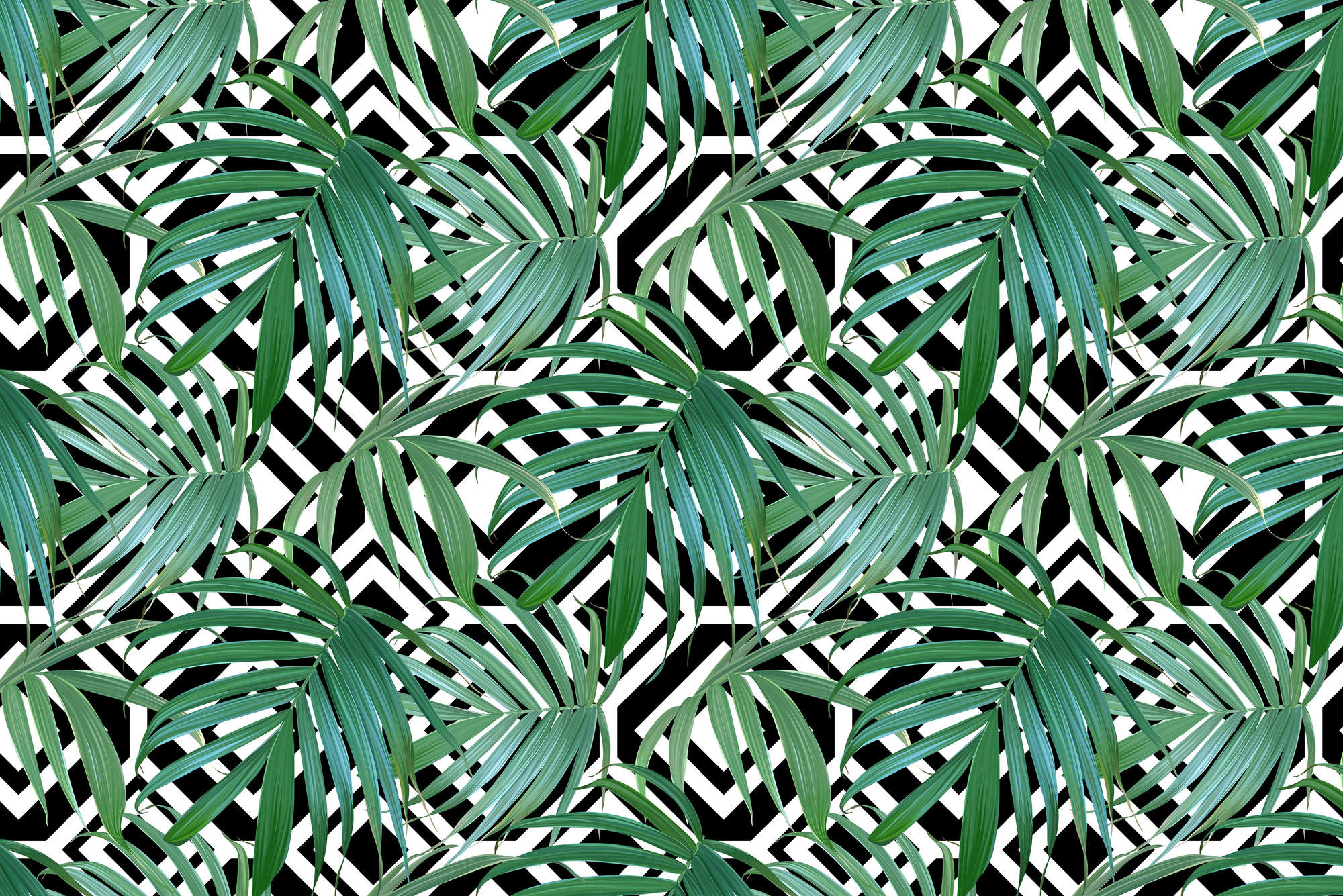             Papier peint graphique Jungle Plantes devant Noir Blanc Graphique sur intissé lisse mat
        