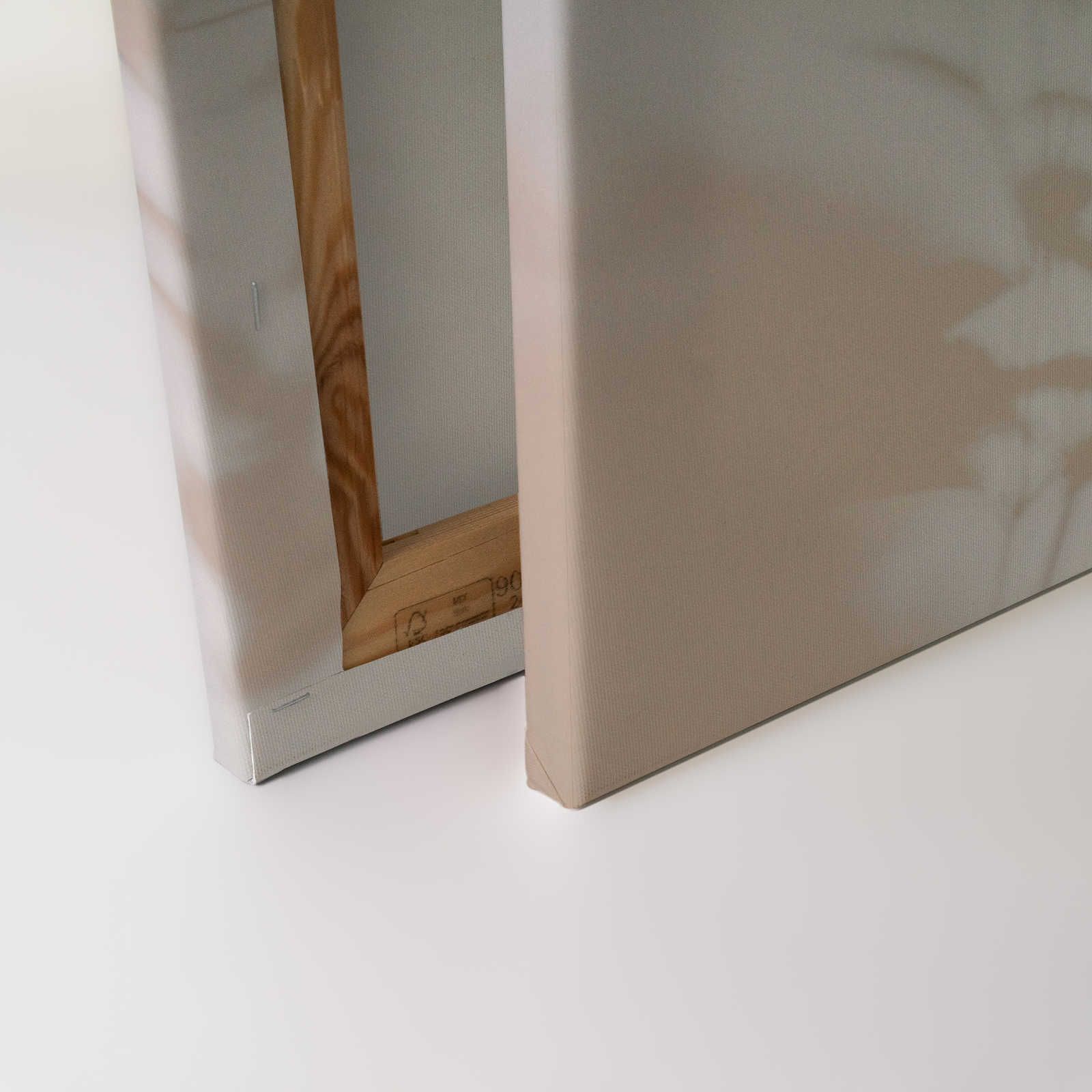             Camera d'ombra 1 - Tela naturale Beige e bianco, disegno sfumato - 0,90 m x 0,60 m
        
