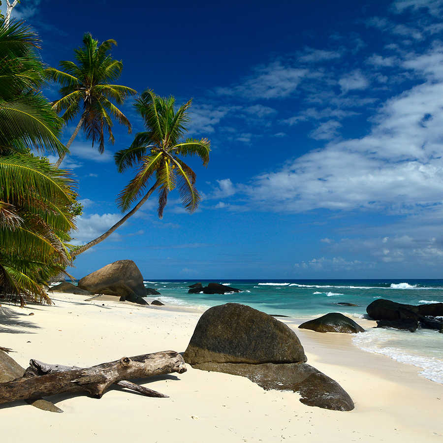 Papel Pintado Mares del Sur Seychelles Palmeras y Playa sobre tela no tejida con textura
