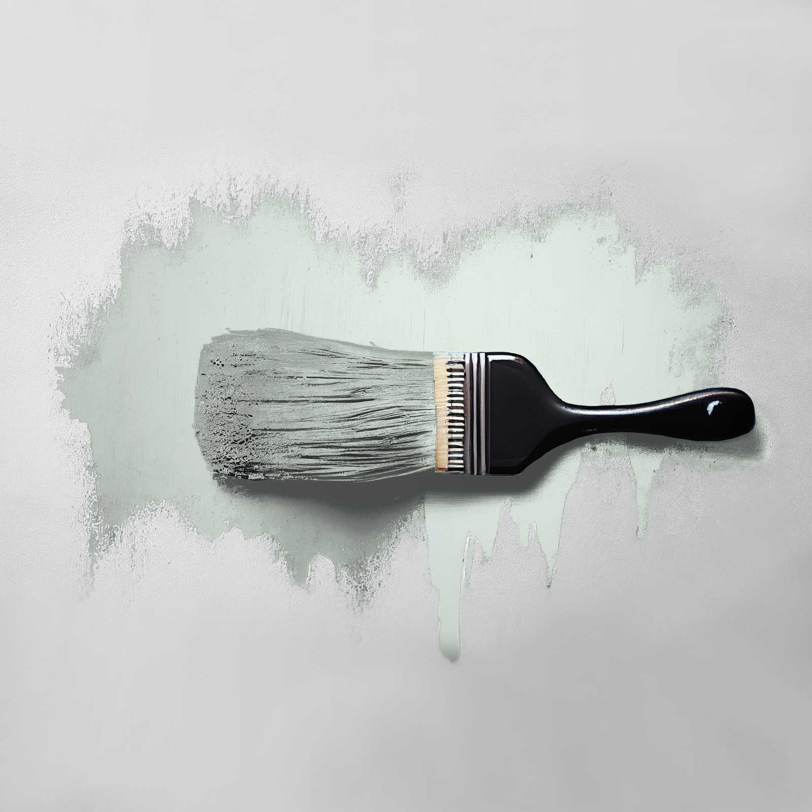             Wall Paint TCK3000 »Perky Peppermint« in a light mint shade – 2.5 litre
        