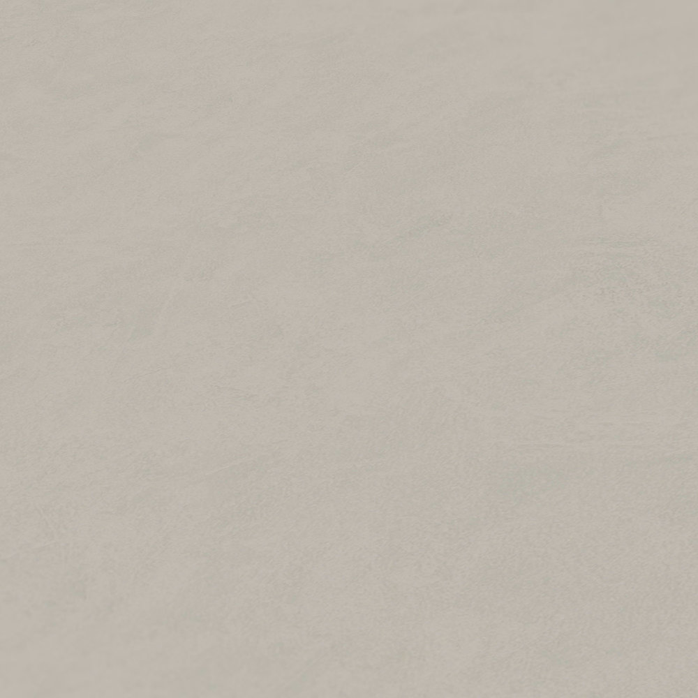             Effen vliesbehang troffelpleister look - grijs, taupe
        