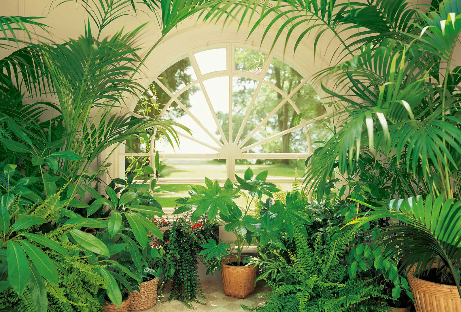Wintertuin behang met raam - Groen, Wit
