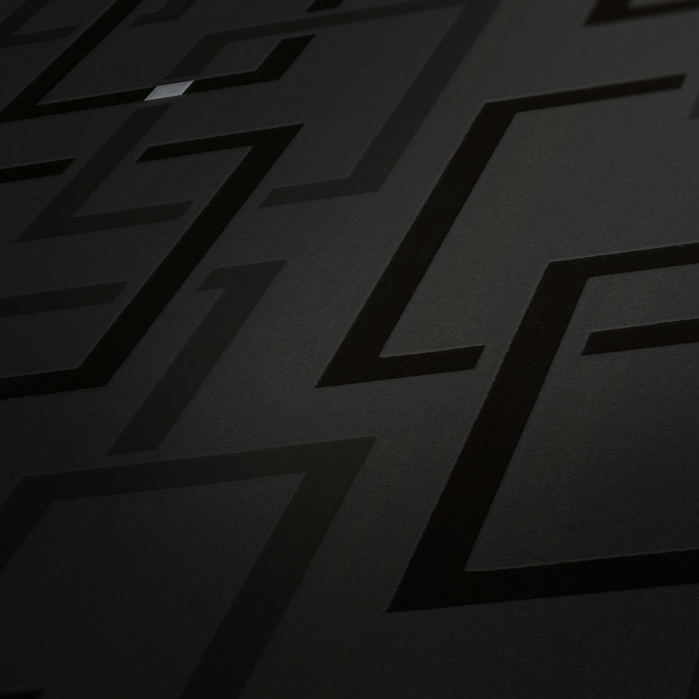             Designbehang retrostijl, patroon & 3D-effect - zwart, zilver
        