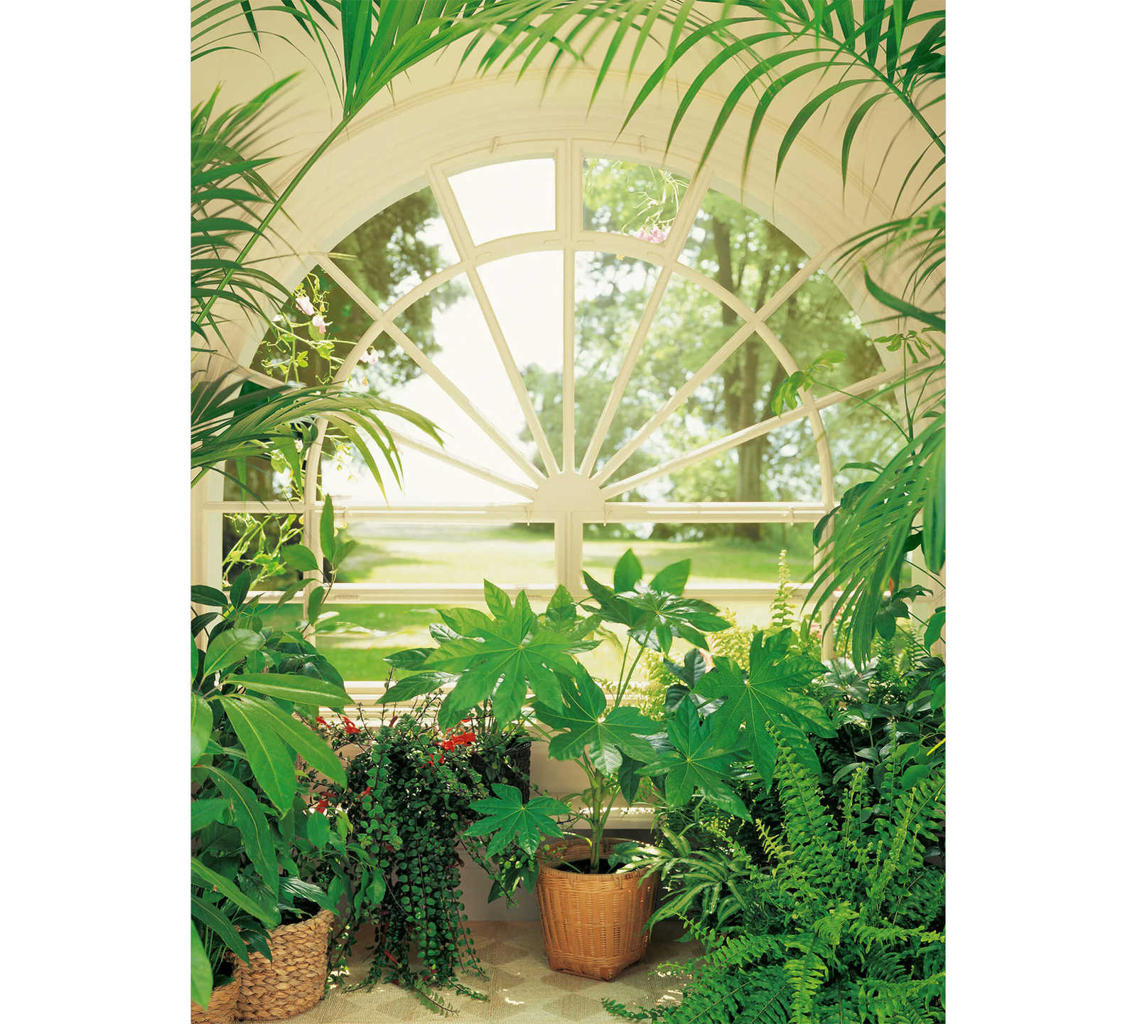         Photo wallpaper winter garden tropical plants, portrait format
    
