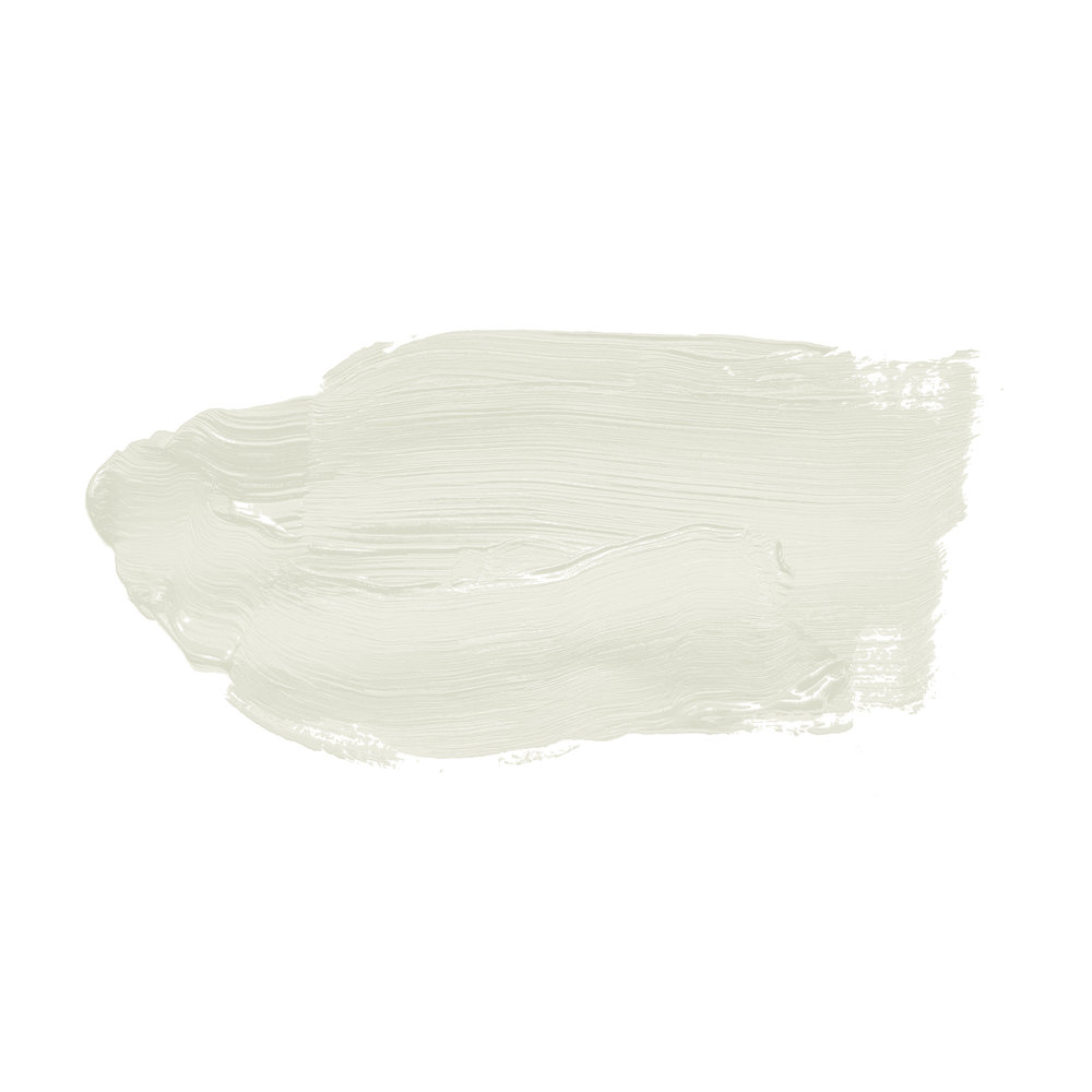             Wall Paint TCK1008 »Shady Sugar« in warm white – 2.5 litre
        