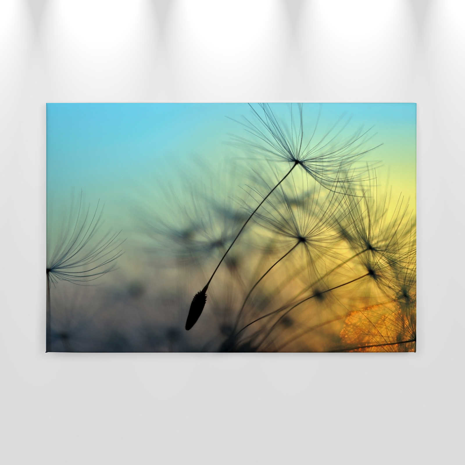             Canvas Dandelion & Sunset - 0.90 m x 0.60 m
        