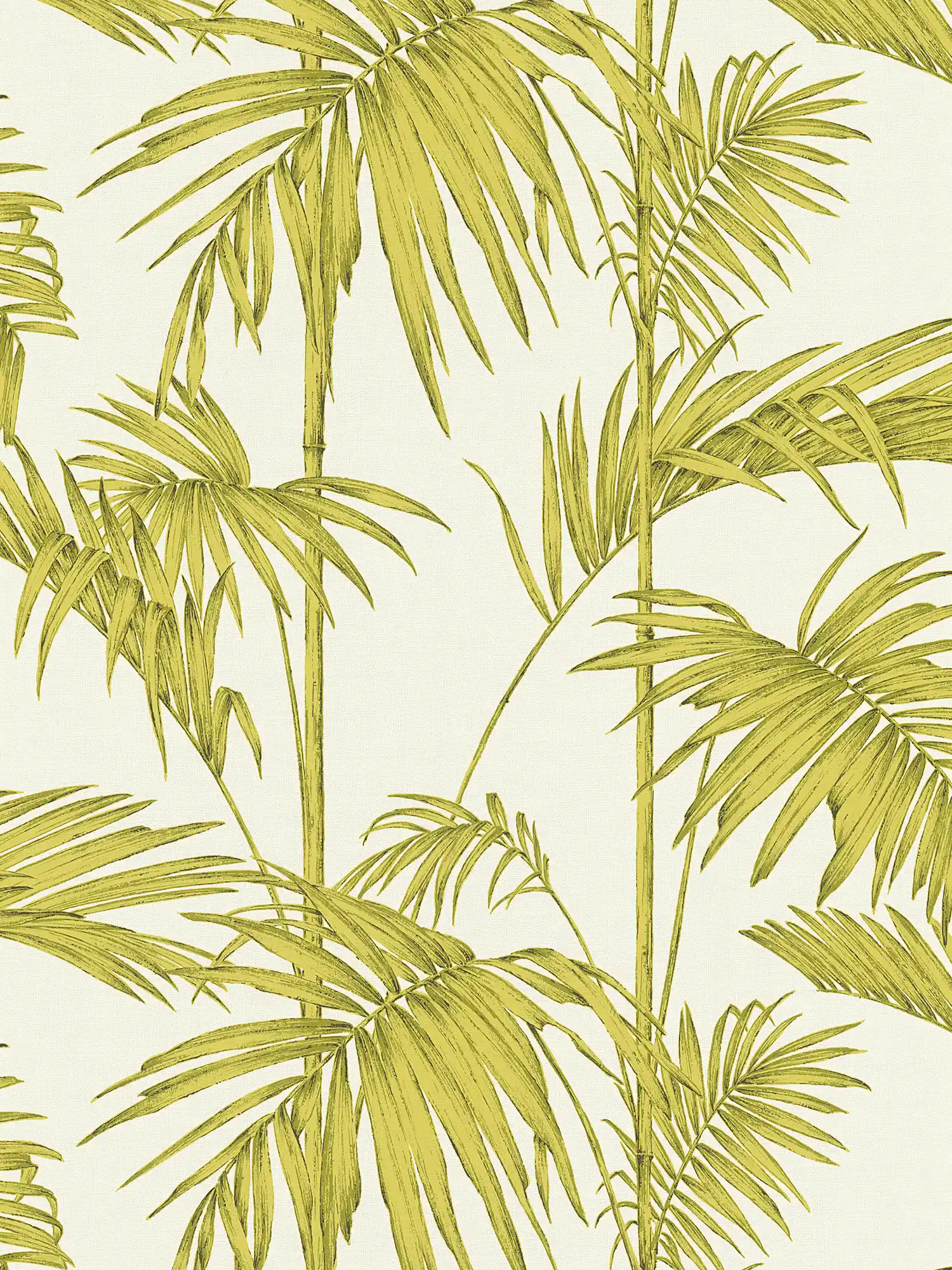 Papel pintado natural Hojas de palmera, Bambú - Verde, Crema
