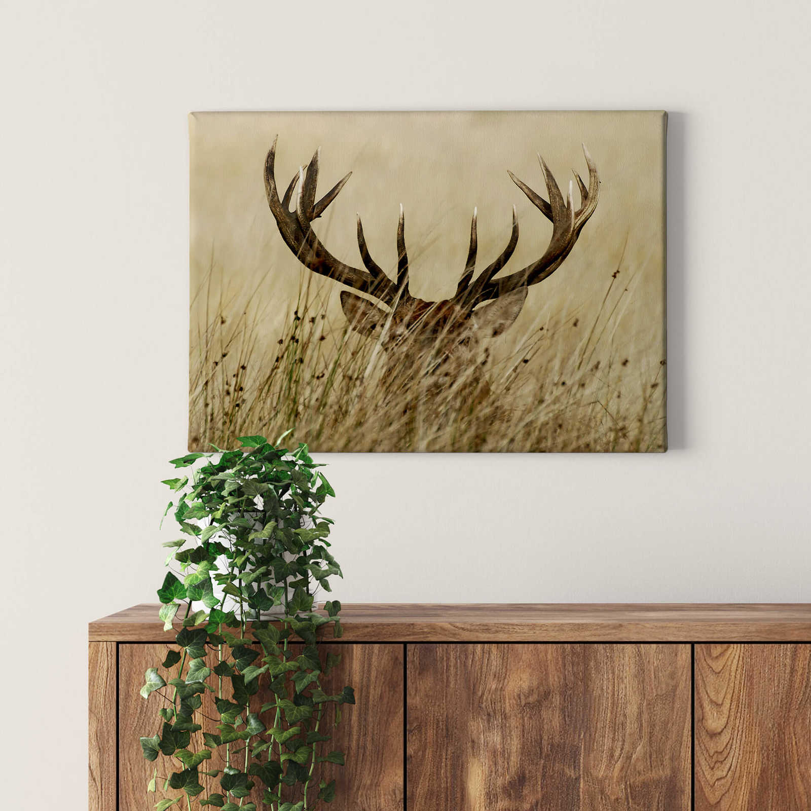             Animal canvas print deer in the high grass
        