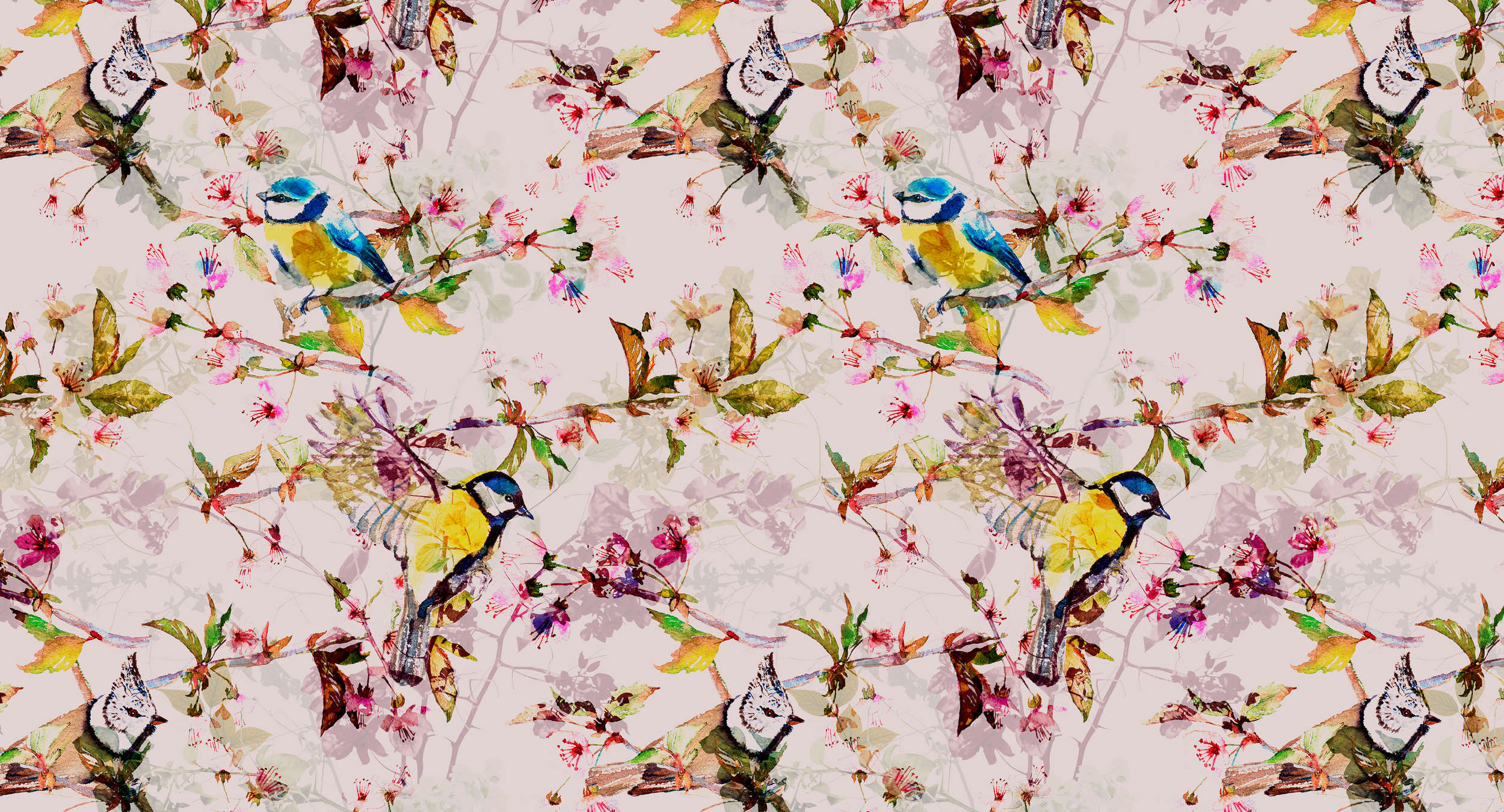             Birds collage style mural - pink, yellow
        