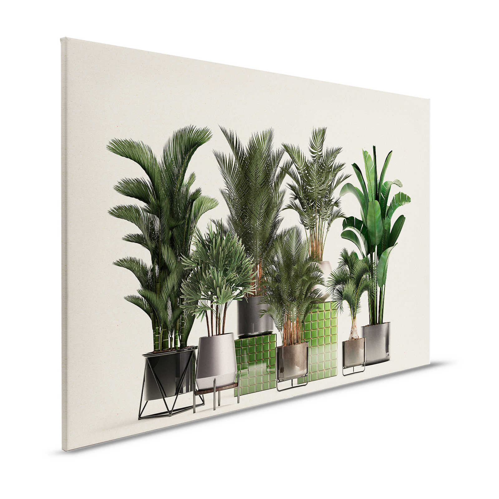 Plant Shop 1 - Lienzo Naturaleza Pintura Plantas en maceta Palmeras - 1,20 m x 0,80 m

