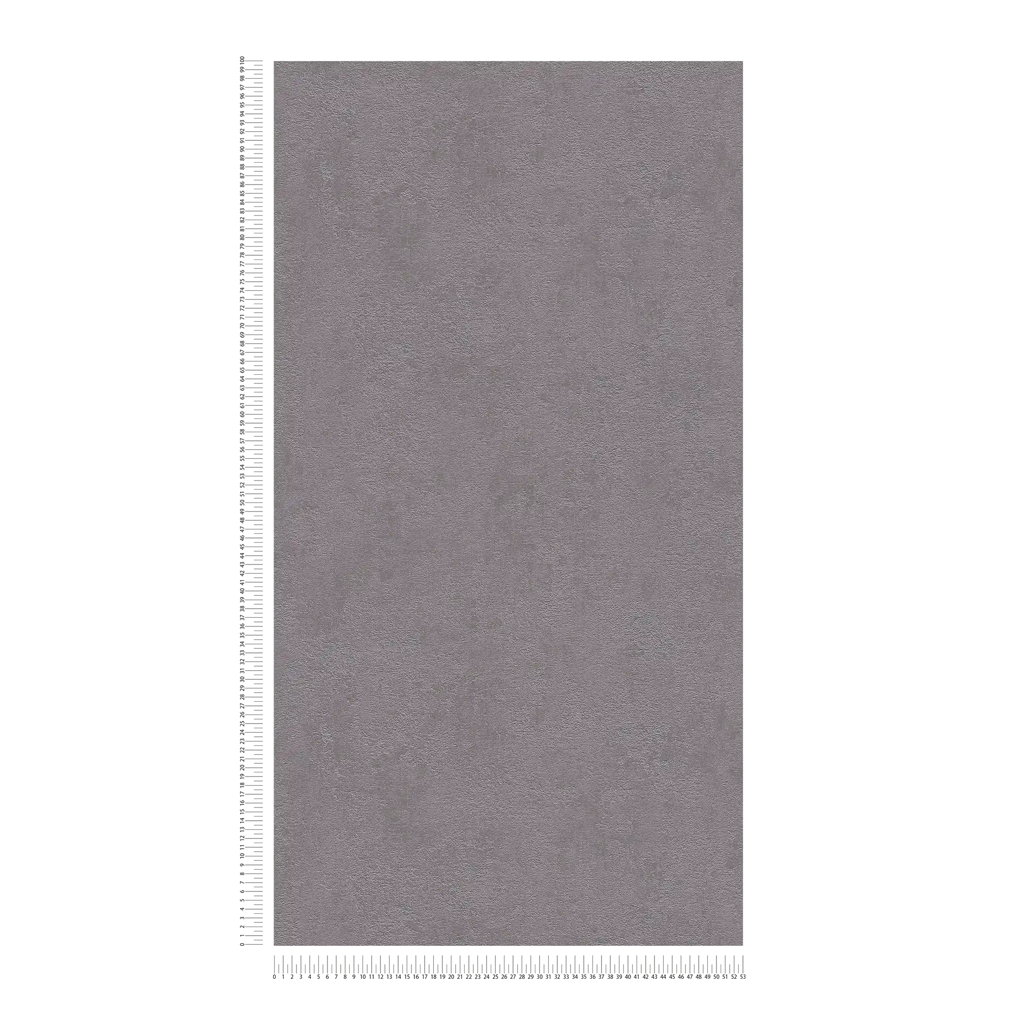             Papier peint plâtre structuré, uni & satiné - gris foncé
        